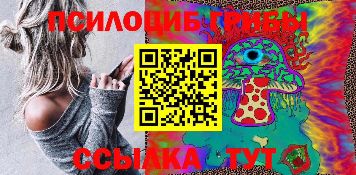 купить   Вход с VPN  Бутурлиновка  Псилоцибиновые грибы Psilocybe 