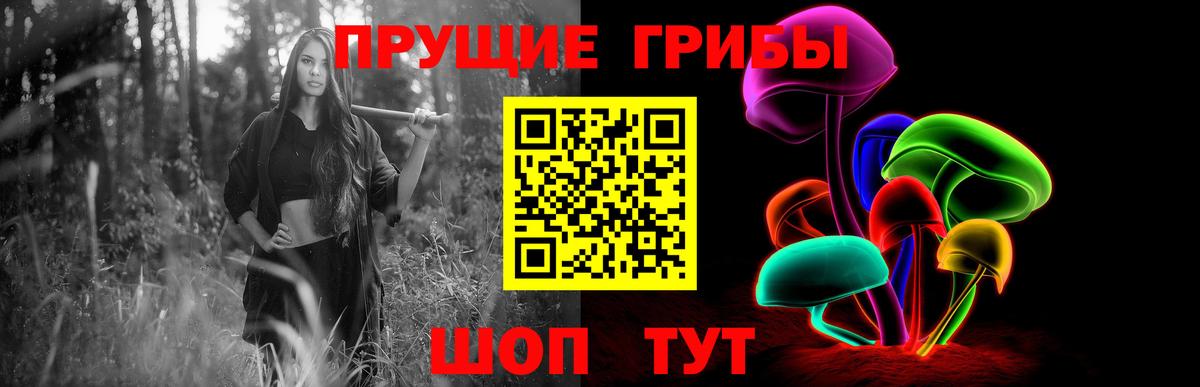 Галлюциногенные грибы Cubensis Бутурлиновка